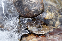 DSC00527a